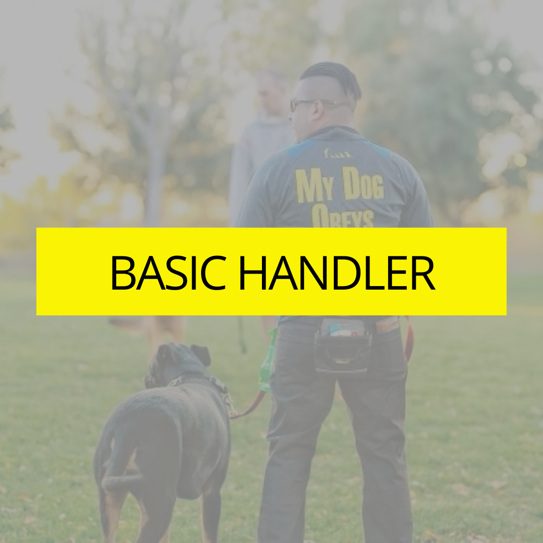 do dog handlers get paid