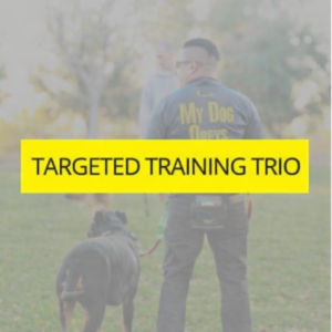 Targeted Training Trio