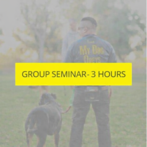 Group Seminar (3 Hours)