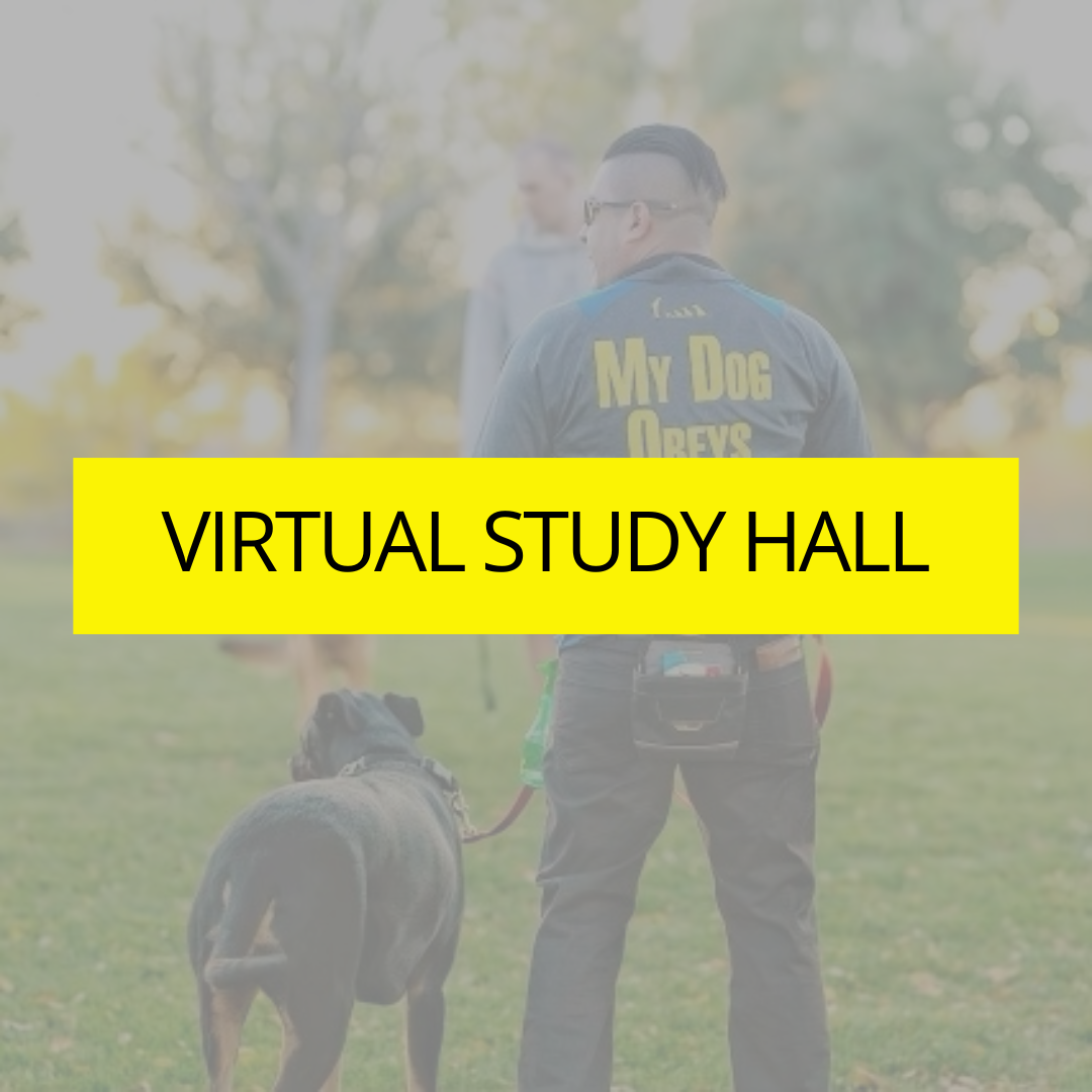 Virtual Study Hall Reyes K 9 Academy