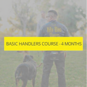 Basic Handler Course - 4 Month Payment Plan